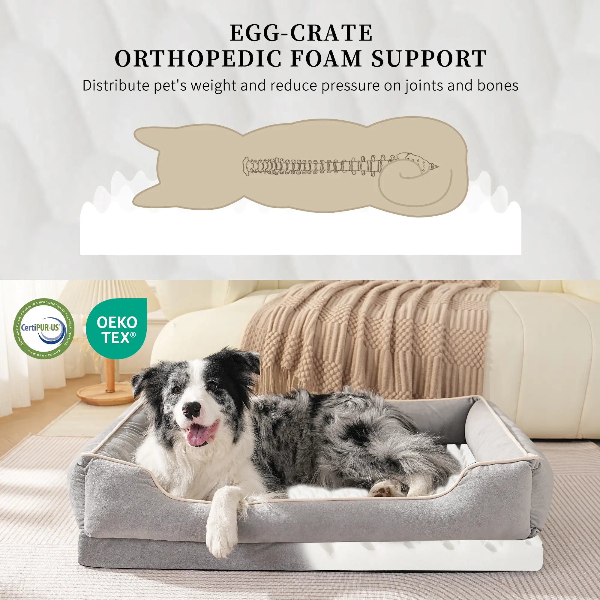 FAIRYPET Soothing Sofa Dog Bed Pet Bed, Suitable for Dogs and Cats | Removable, Machine-Washable Comfortable Nest | Soft, Scratch- and Wear-Resistant Dutch Fleece | Non-Slip Base Designed for Small and Medium-Sized Pets