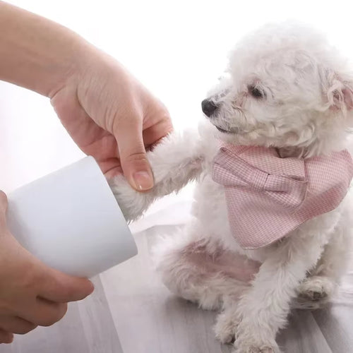 Automatic pet paw washer