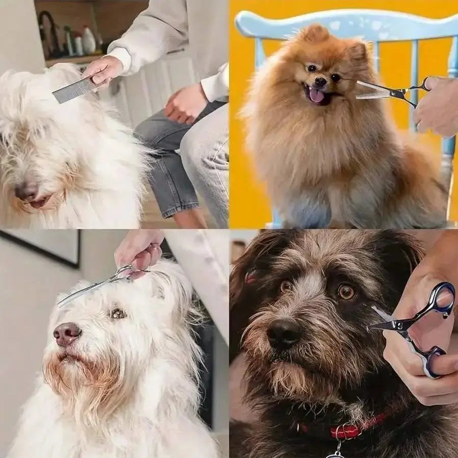 Professional Pet Grooming Scissors, Stainless Steel Dog and Cat Clippers, Curved Straight Upward Blades, Ambidextrous Design, Grooming Tools, Grooming Products